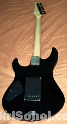 Guitar Yamaha ERG 121